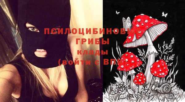 дурь Бугульма