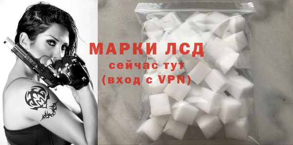 бошки Бородино