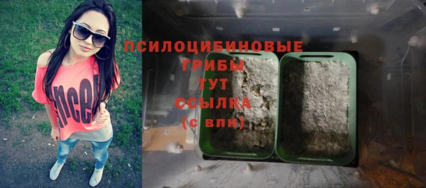 бошки Бородино