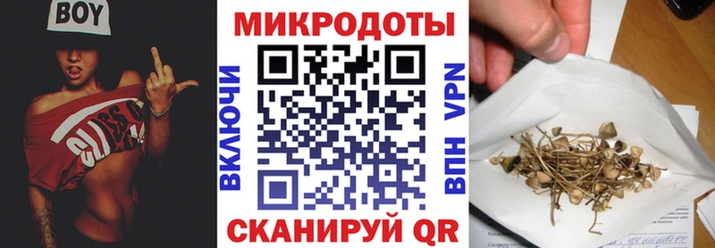 Псилоцибиновые грибы Psilocybine cubensis  MEGA как зайти  Кизел 